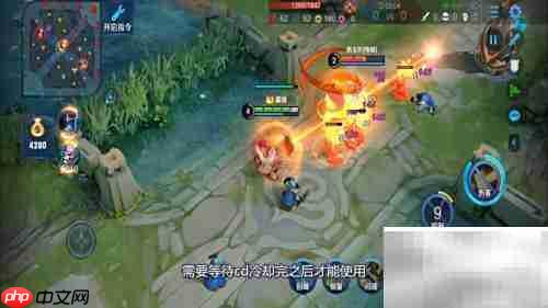 王者荣耀CD是什么意思