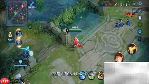 王者荣耀CD是什么意思