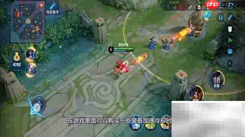 王者荣耀CD是什么意思