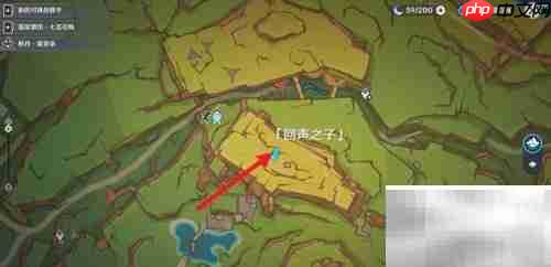 原神拍映影任务速通攻略