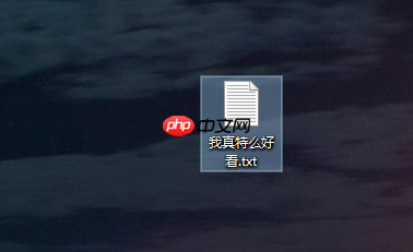 win10系统如何更改文本文档文件类型