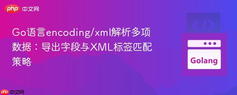 Go语言encoding/xml解析多项数据：导出字段与XML标签匹配策略