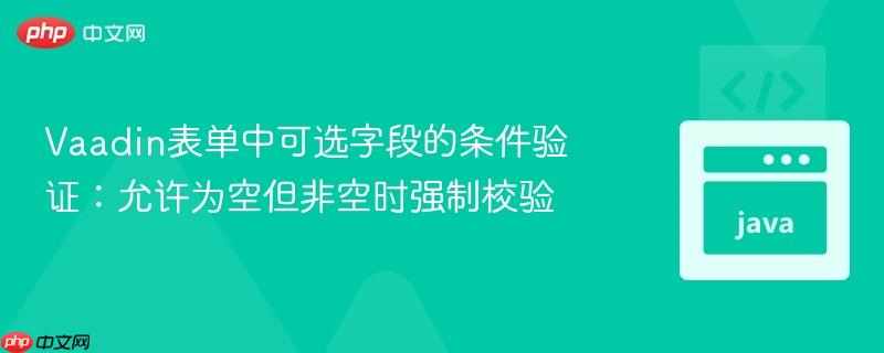 Vaadin表单中可选字段的条件验证：允许为空但非空时强制校验