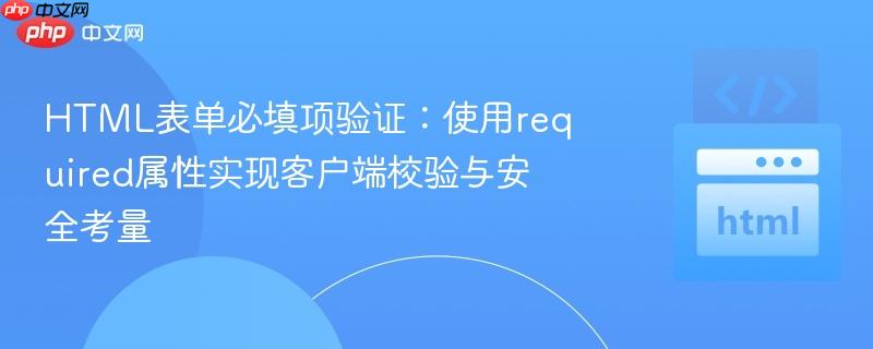 HTML表单必填项验证：使用required属性实现客户端校验与安全考量