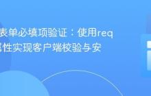 HTML表单必填项验证:使用required属性实现客户端校验与安全考量
