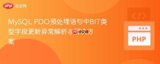 MySQL PDO预处理语句中BIT类型字段更新异常解析与解决方案
