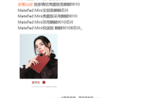 华为首次公开!MatePad Mini全系麒麟芯片:典藏版确认麒麟9010