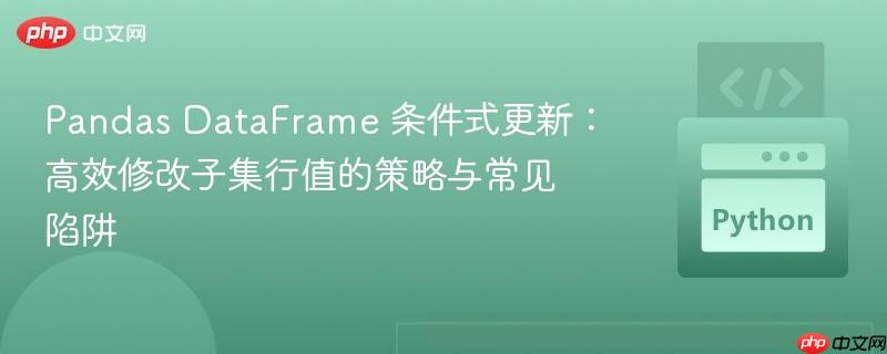 Pandas DataFrame 条件式更新：高效修改子集行值的策略与常见陷阱
