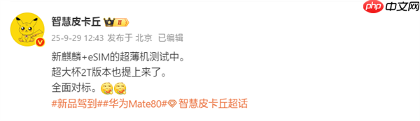 对标苹果iPhone Air!华为测试eSIM超薄手机:搭载全新麒麟芯片