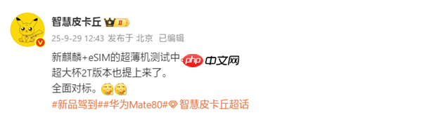 对标苹果iPhone Air!华为测试eSIM超薄手机:搭载全新麒麟芯片