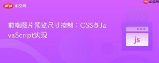 前端图片预览尺寸控制：CSS与JavaScript实现