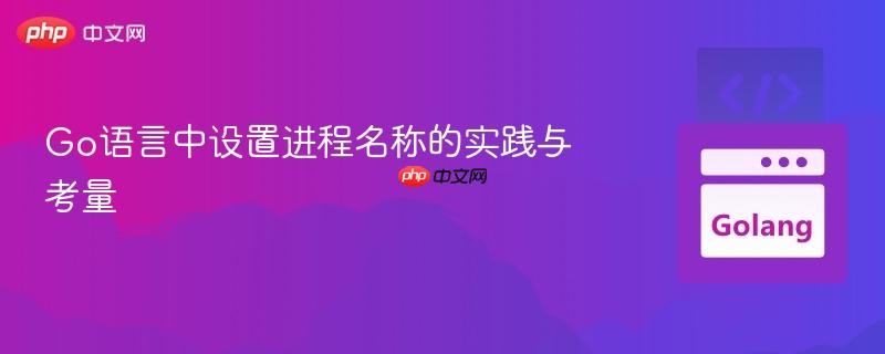 Go语言中设置进程名称的实践与考量