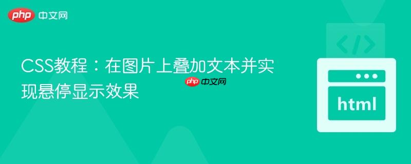 CSS教程：在图片上叠加文本并实现悬停显示效果