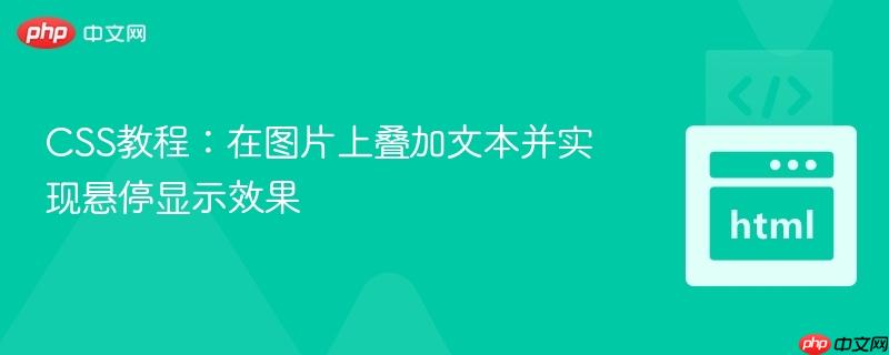 CSS教程：在图片上叠加文本并实现悬停显示效果
