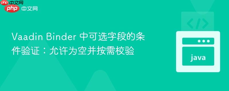 Vaadin Binder 中可选字段的条件验证：允许为空并按需校验
