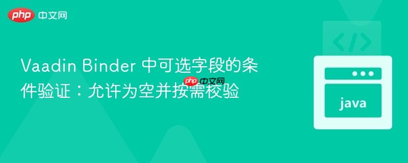 Vaadin Binder 中可选字段的条件验证:允许为空并按需校验