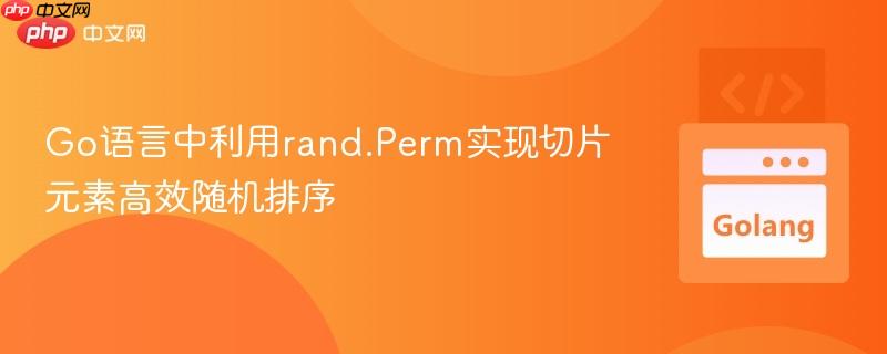 Go语言中利用rand.Perm实现切片元素高效随机排序