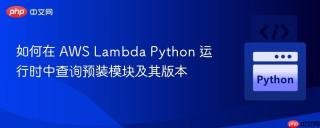 如何在 AWS Lambda Python 运行时中查询预装模块及其版本
