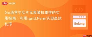 Go语言中切片元素随机重排的实用指南：利用rand.Perm实现高效乱序