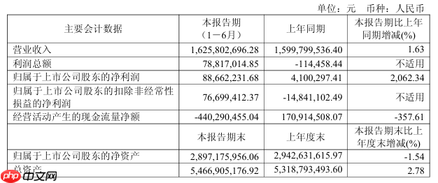 极米科技向港交所提交上市申请书,上半年净利润暴增 2062%