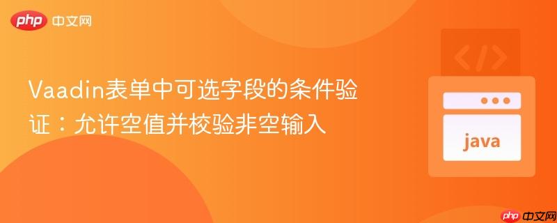 Vaadin表单中可选字段的条件验证:允许空值并校验非空输入