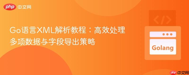 Go语言XML解析教程:高效处理多项数据与字段导出策略