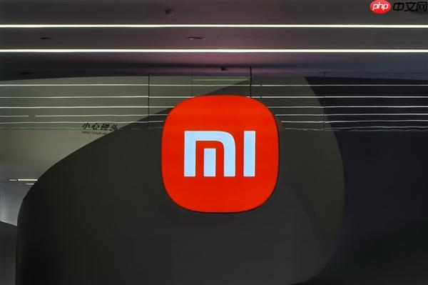 罗永浩声援小米：海报小字是行业陋习 非雷军的小米独创