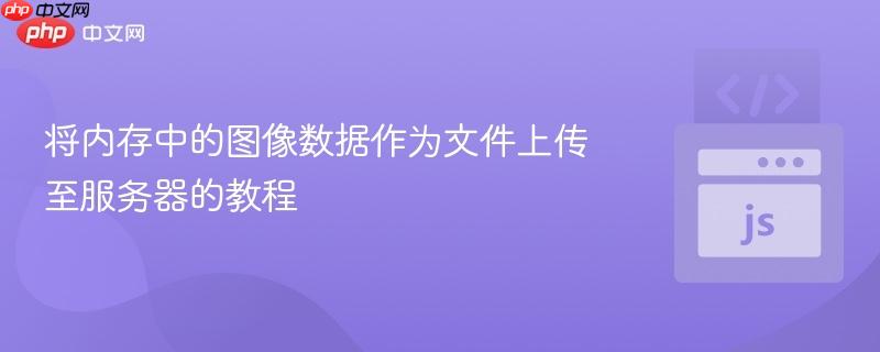 将内存中的图像数据作为文件上传至服务器的教程