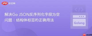 解决Go JSON反序列化字段为空问题：结构体标签的正确用法
