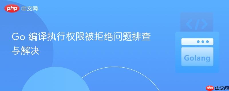Go 编译执行权限被拒绝问题排查与解决