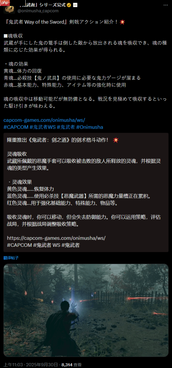 《鬼武者:剑之道》机制介绍:杀敌吸魂回复!