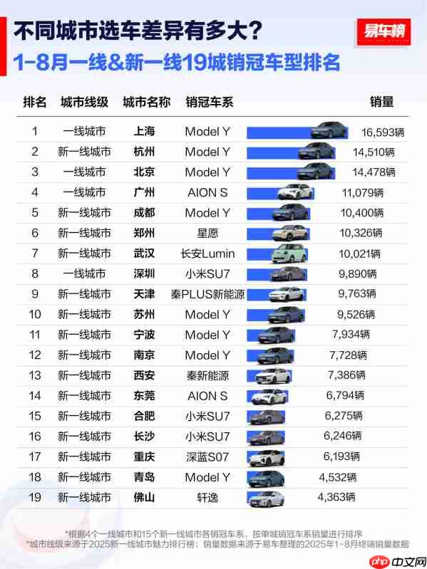 1-8月国内19大城市销冠车型排名：Model Y成最大赢家