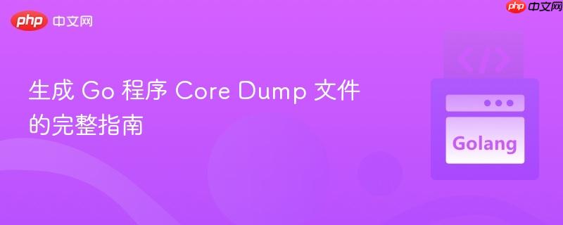 生成 Go 程序 Core Dump 文件的完整指南