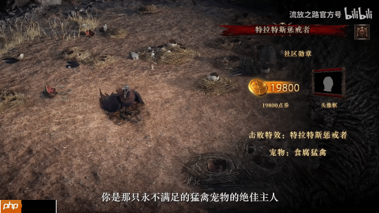 《流放之路：降临》官方介绍新支持包：超帅特效和套装