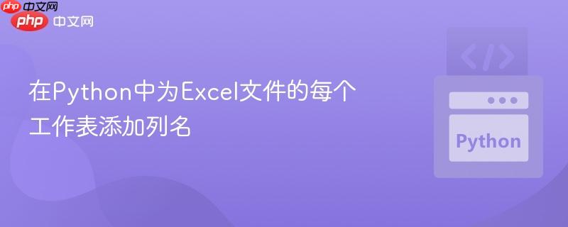 在python中为excel文件的每个工作表添加列名