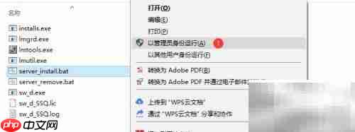 SW无法获取标准版许可