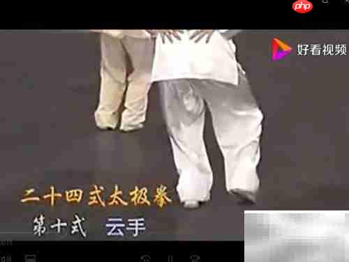 吴阿敏云手教学