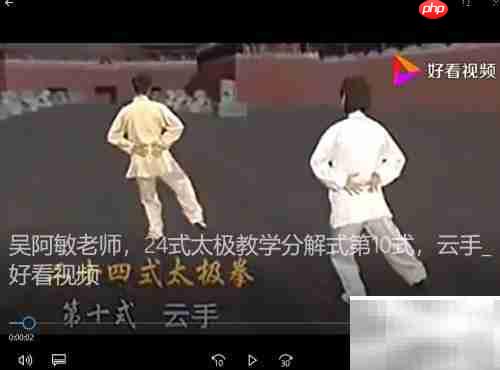 吴阿敏云手教学