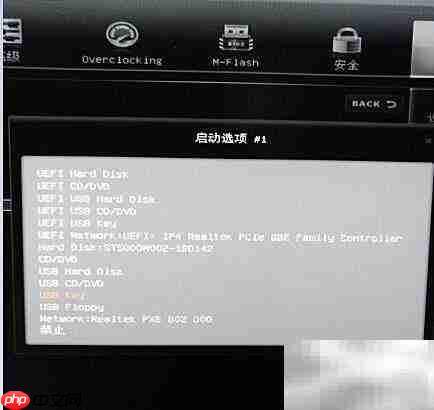 如何设置硬盘为启动项