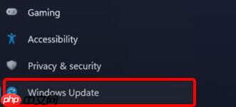 win11摄像头无法打开怎么办