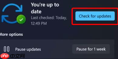 win11摄像头无法打开怎么办