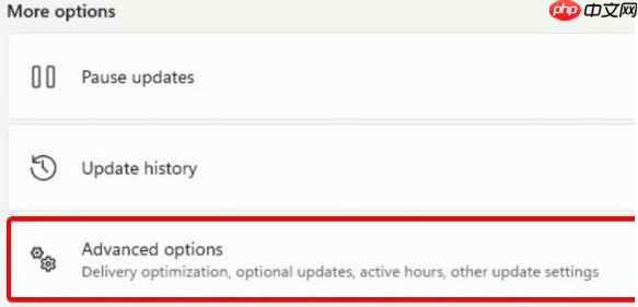 win11摄像头无法打开怎么办