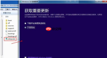 怎样安装正版windows10系统