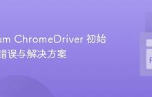 Selenium ChromeDriver 初始化常见错误与解决方案