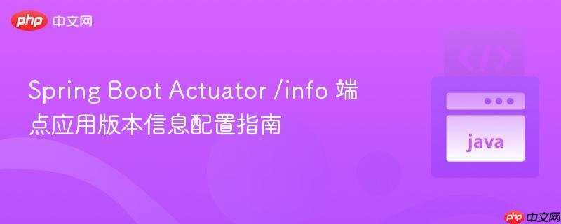 Spring Boot Actuator /info 端点应用版本信息配置指南