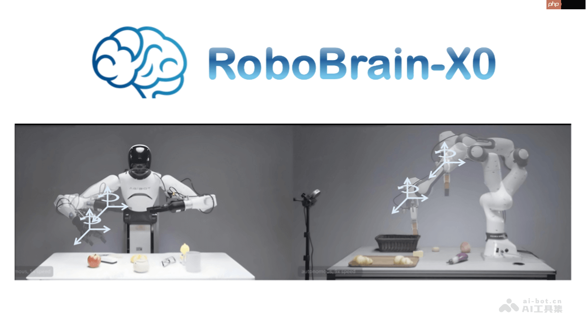 RoboBrain-X0— 智源研究院开源的跨本体泛化具身模型