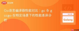 Go语言编译器性能对比：gc 与 gccgo 在特定场景下的性能差异分析