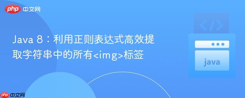 Java 8：利用正则表达式高效提取字符串中的所有<img>标签