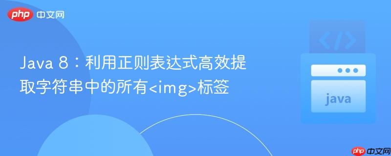 Java 8：利用正则表达式高效提取字符串中的所有<img>标签
