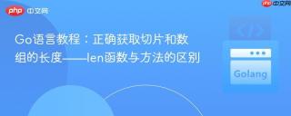Go语言教程：正确获取切片和数组的长度——len函数与方法的区别